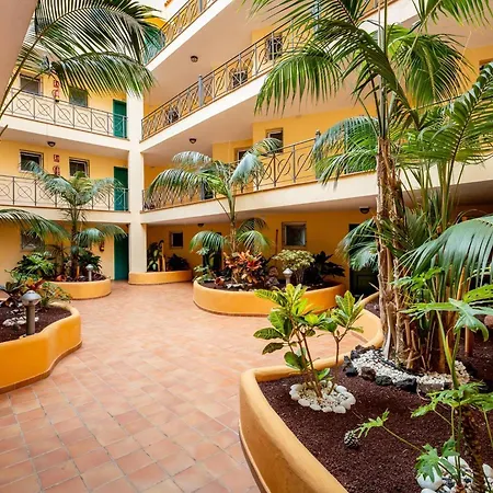 Tropical Position